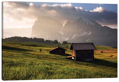 Golden Spring Morning At Alpe Di Suisi In The Dolomites Canvas Art Print - Daniel Gastager
