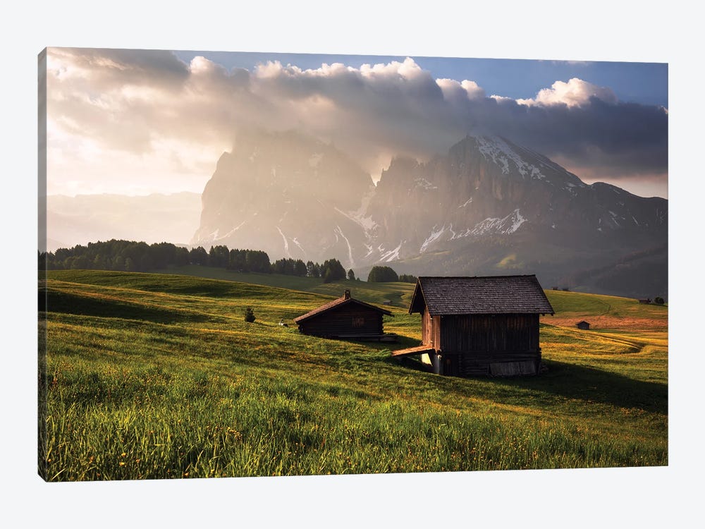 Golden Spring Morning At Alpe Di Suisi In The Dolomites by Daniel Gastager 1-piece Art Print