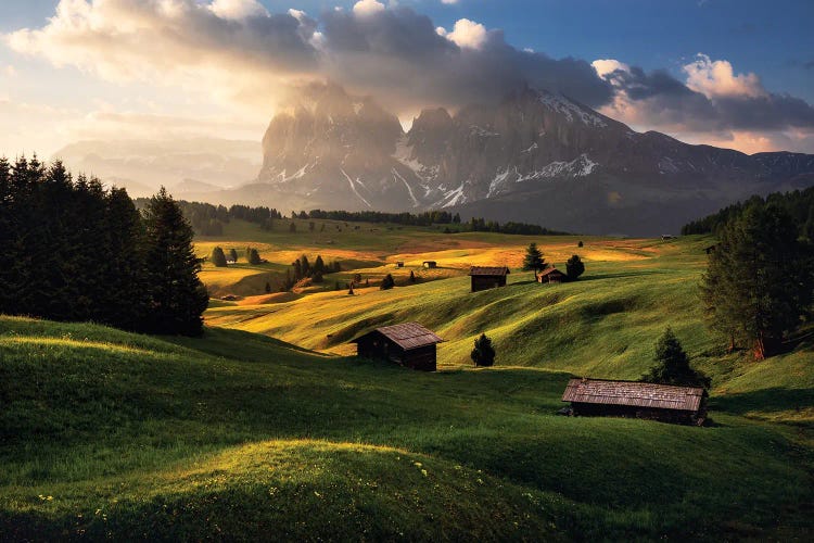 Spring Sunrise At Alpe Di Suisi In The Dolomites