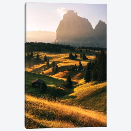 Golden Summer Morning At Alpe Di Suisi In The Dolomites Canvas Print #DGG150} by Daniel Gastager Canvas Art