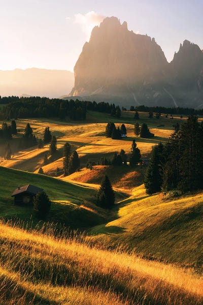 Daniel Gastager: Golden Summer Morning At Alpe Di Suisi In The Dolomites by Daniel Gastager