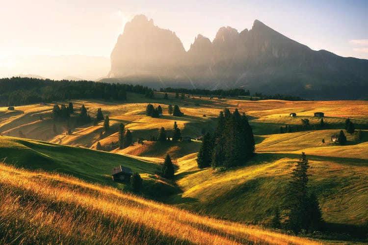 A Calm Summer Morning At Alpe Di Suisi