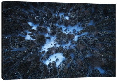 A Dark Winter Forest In The Dolomites Canvas Art Print - Daniel Gastager