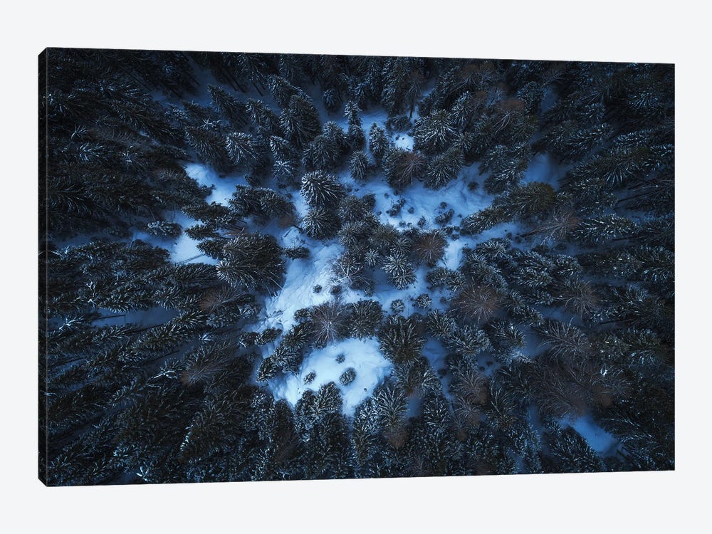 A Dark Winter Forest In The Dolomites by Daniel Gastager 1-piece Canvas Art Print