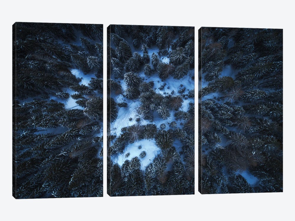 A Dark Winter Forest In The Dolomites by Daniel Gastager 3-piece Canvas Print