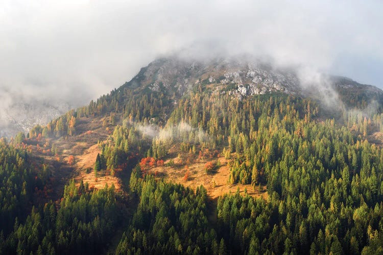 A Foggy Autumn Morning In The Dolomites