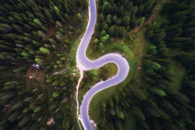 Forest Road From Above by Daniel Gastager canvas print