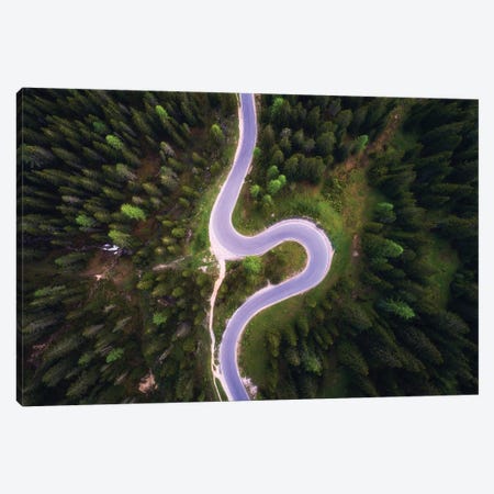 Forest Road From Above Canvas Print #DGG162} by Daniel Gastager Canvas Art Print