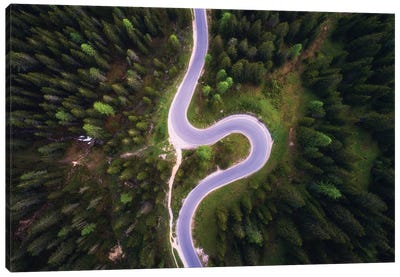 Forest Road From Above Canvas Art Print - Daniel Gastager