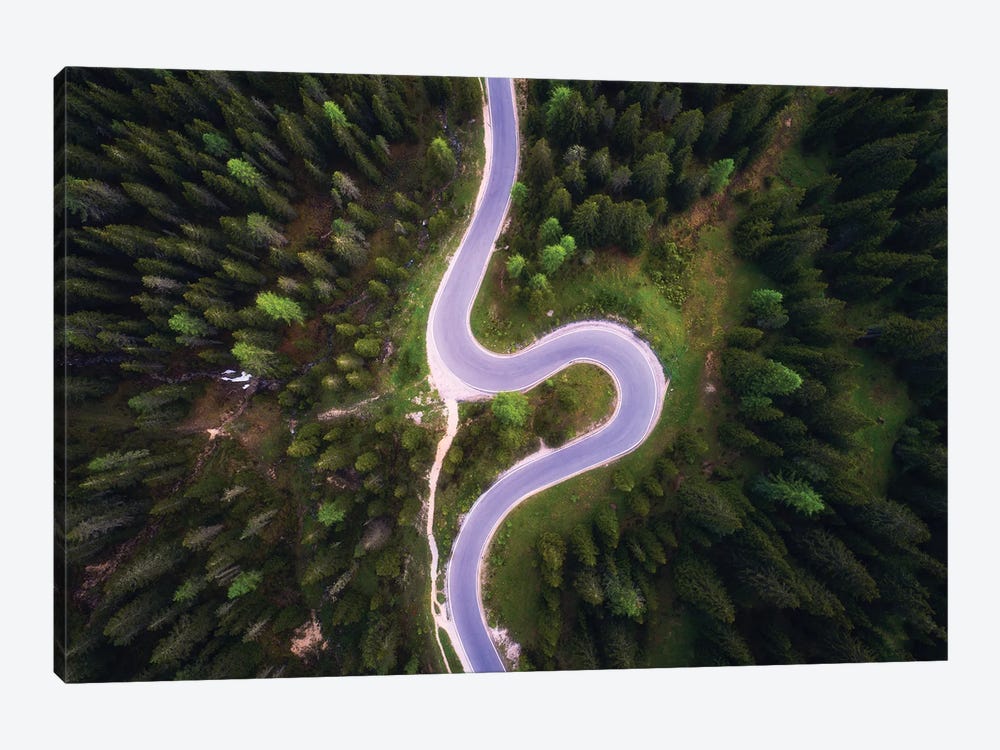Forest Road From Above by Daniel Gastager 1-piece Canvas Art Print