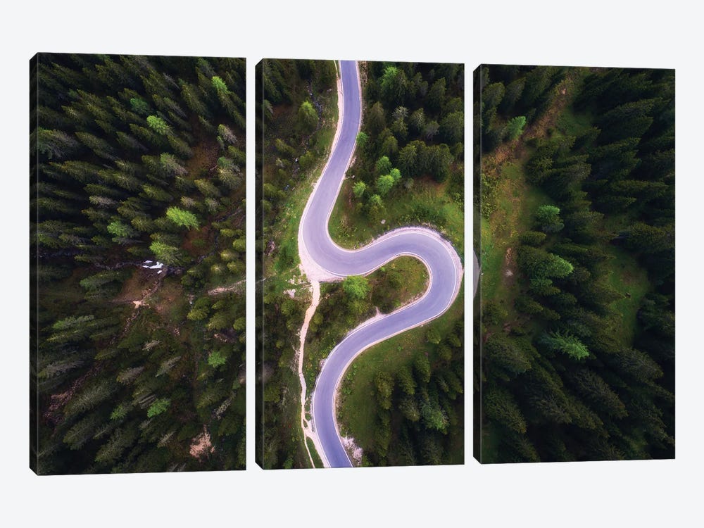 Forest Road From Above by Daniel Gastager 3-piece Art Print