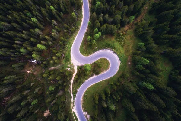 Daniel Gastager: Forest Road From Above by Daniel Gastager