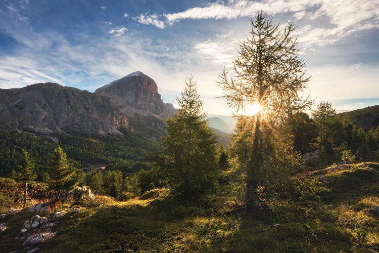 Golden Summer Morning At Passo Falzarego In The Dolomites