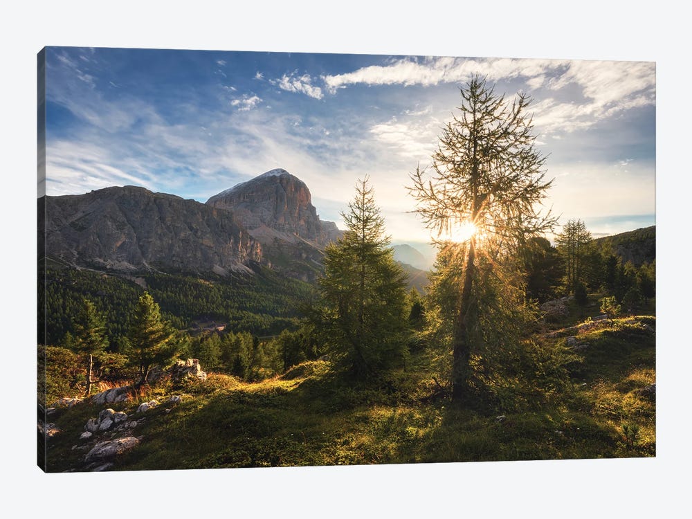 Golden Summer Morning At Passo Falzarego In The Dolomites by Daniel Gastager 1-piece Canvas Art Print