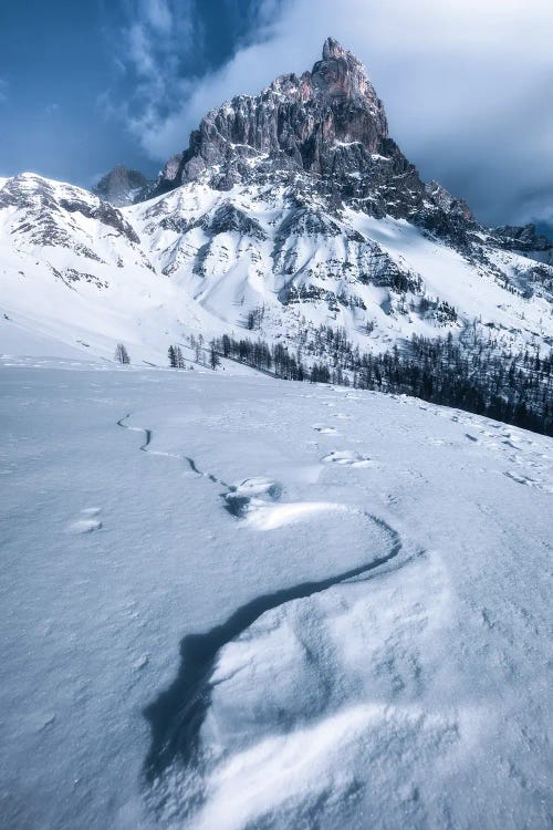 A Winter Day At Passo Rolle In The Dolomites