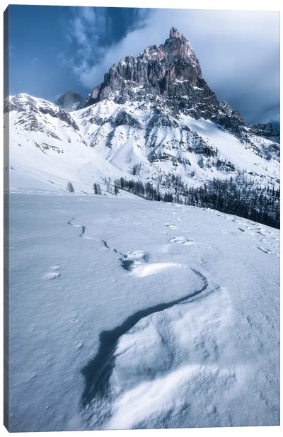 A Winter Day At Passo Rolle In The Dolomites Canvas Art Print - Daniel Gastager