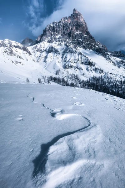 Daniel Gastager: A Winter Day At Passo Rolle In The Dolomites by Daniel Gastager
