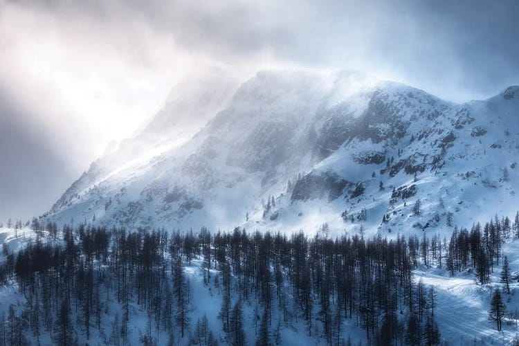 A Winter Storm At Passo Rolle In The Dolomites