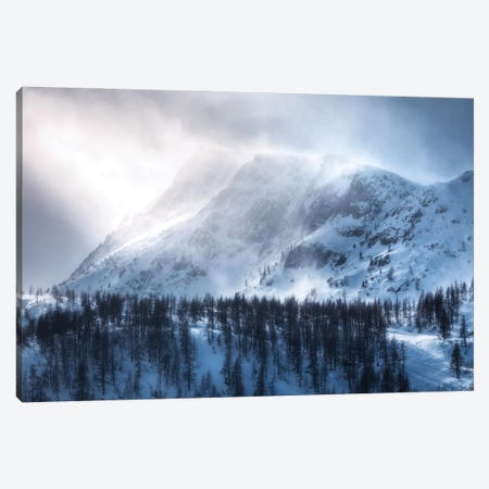 A Winter Storm At Passo Rolle In The Dolomites Canvas Print #DGG177} by Daniel Gastager Canvas Art Print