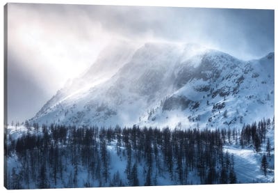 A Winter Storm At Passo Rolle In The Dolomites Canvas Art Print - Daniel Gastager