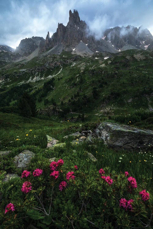 A Cloudy Summer Evening In The French Alps