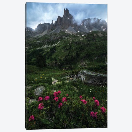 A Cloudy Summer Evening In The French Alps Canvas Print #DGG196} by Daniel Gastager Canvas Art Print