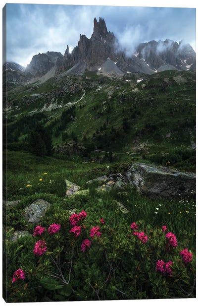 A Cloudy Summer Evening In The French Alps Canvas Art Print - Daniel Gastager