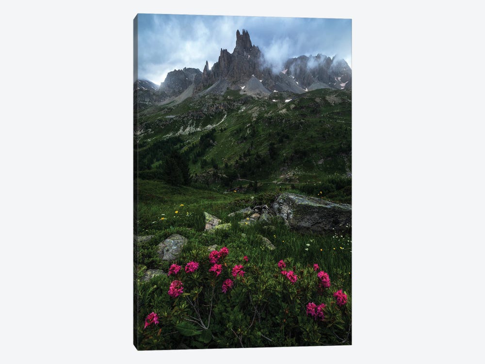 A Cloudy Summer Evening In The French Alps by Daniel Gastager 1-piece Canvas Wall Art