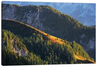 An Autumn Evening In The Bavarian Alps Canvas Art Print - Daniel Gastager