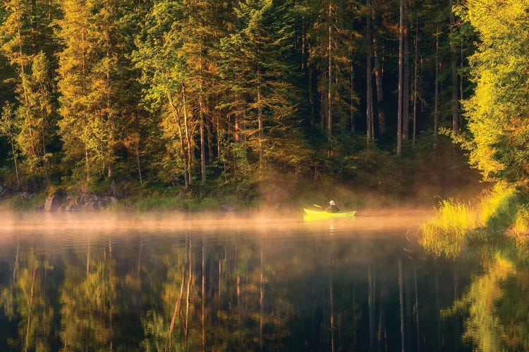 Calm Golden Morning At The Lake