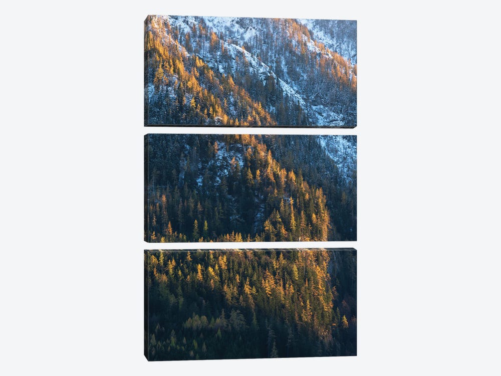 Fall Contrast In The Mountains by Daniel Gastager 3-piece Canvas Art