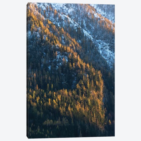 Fall Contrast In The Mountains Canvas Print #DGG218} by Daniel Gastager Canvas Print