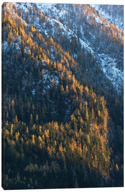 Fall Contrast In The Mountains Canvas Art Print - Daniel Gastager