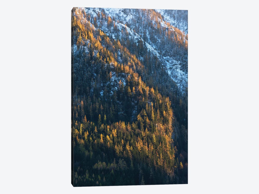 Fall Contrast In The Mountains by Daniel Gastager 1-piece Canvas Art