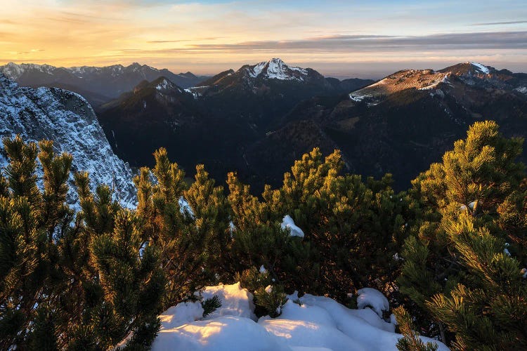 First Snow In The German Alps