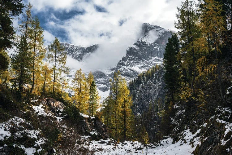 Snowy Fall Afternoon In The German Alps