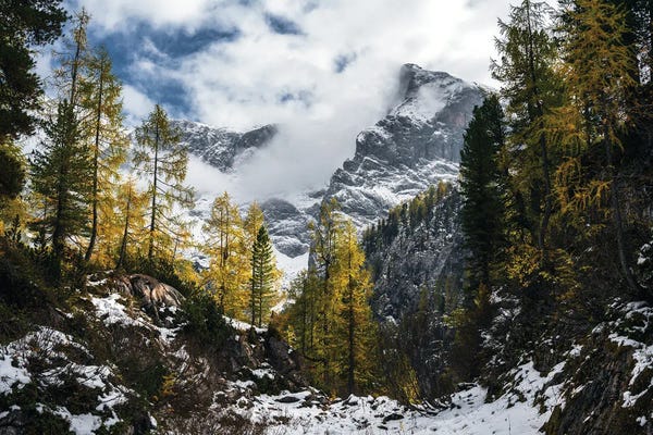 Daniel Gastager: Snowy Fall Afternoon In The German Alps by Daniel Gastager
