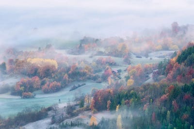 Foggy Fall Morning by Daniel Gastager canvas print