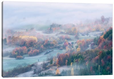 Foggy Fall Morning Canvas Art Print - Daniel Gastager