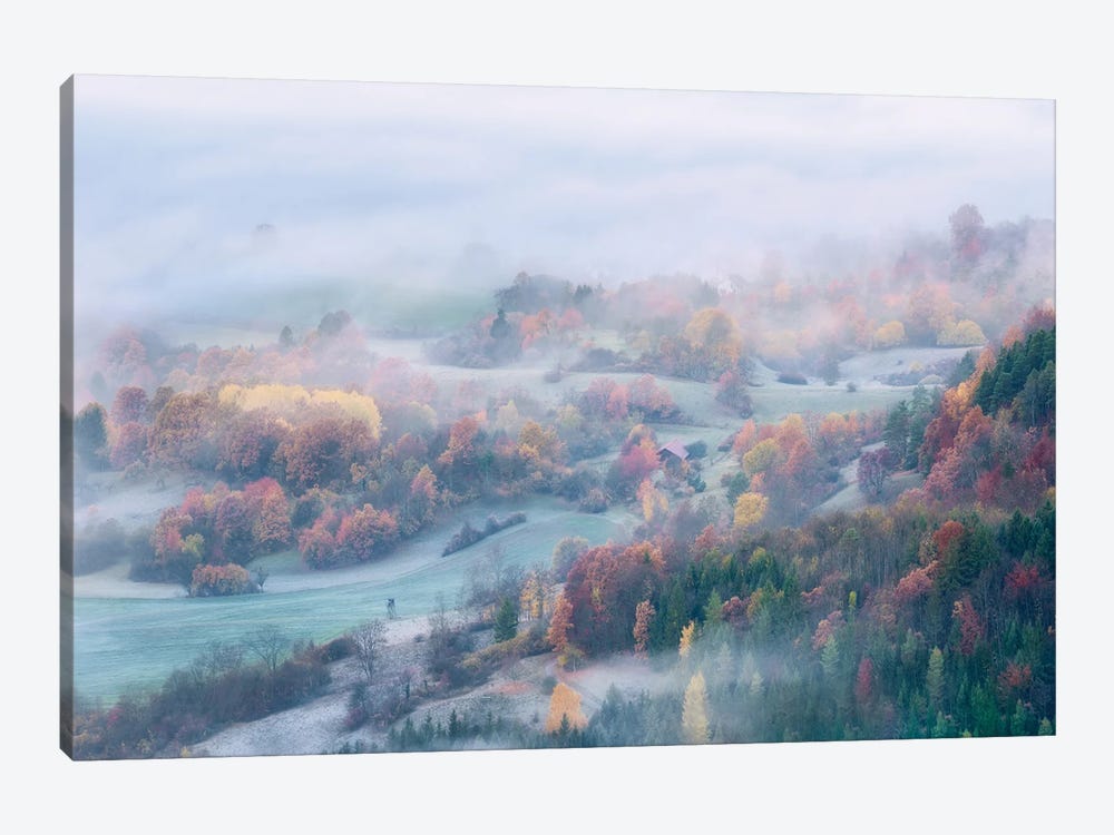Foggy Fall Morning by Daniel Gastager 1-piece Canvas Print