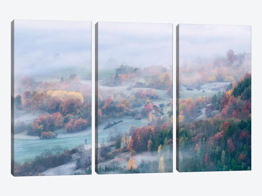 Foggy Fall Morning by Daniel Gastager 3-piece Art Print