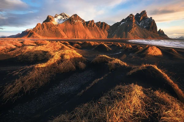 Iceland: A Golden Morning At Stokksnes by Daniel Gastager