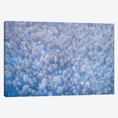 Frozen Forest From Above Canvas Print #DGG232} by Daniel Gastager Art Print