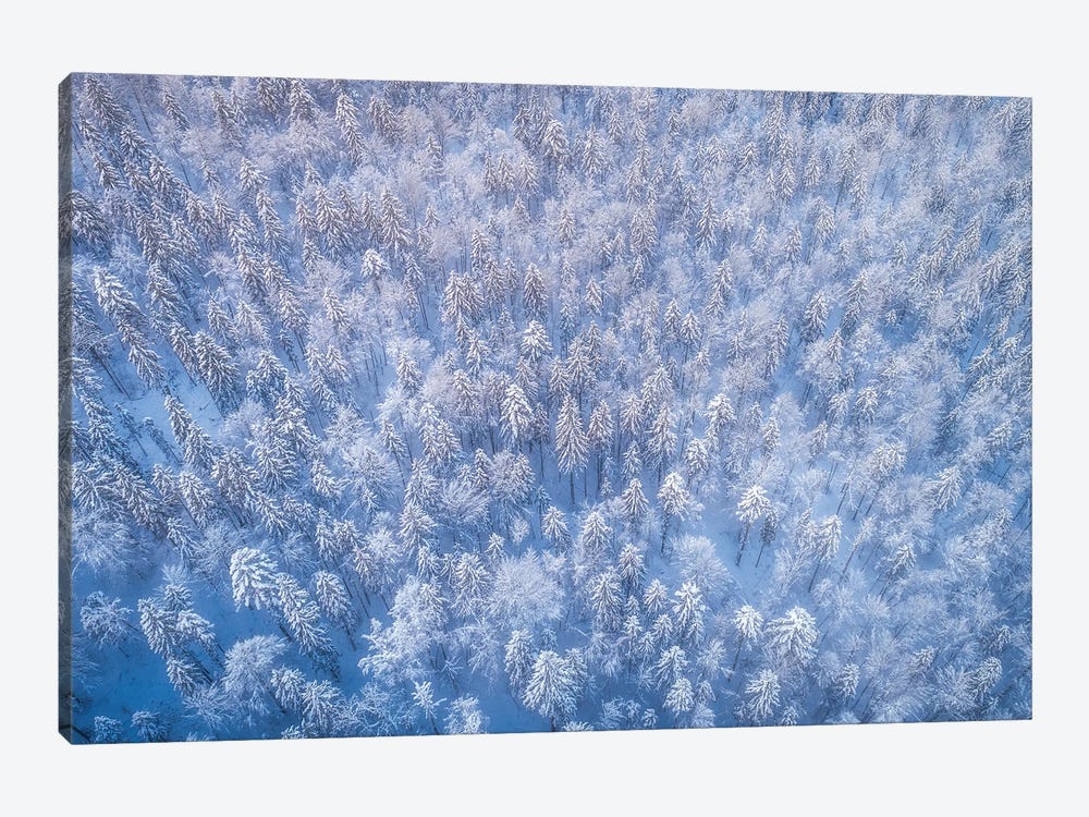 Frozen Forest From Above by Daniel Gastager 1-piece Canvas Art