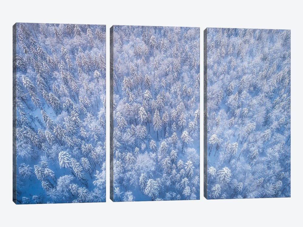 Frozen Forest From Above by Daniel Gastager 3-piece Canvas Wall Art