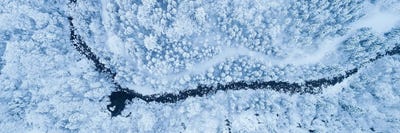Frozen Forest Panorama by Daniel Gastager canvas print
