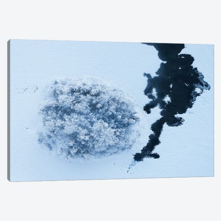 Frozen Lake From Above Canvas Print #DGG235} by Daniel Gastager Canvas Wall Art