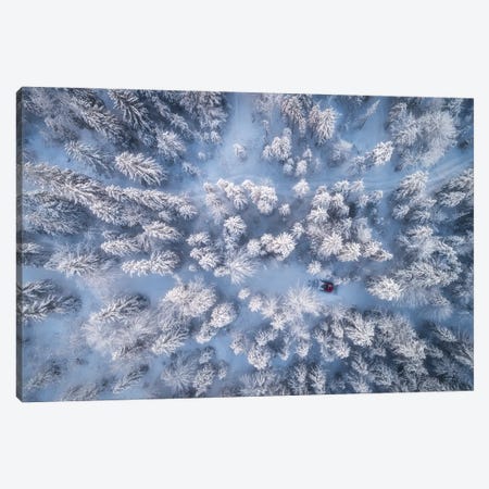 Frozen Winter Forest In Bavaria Canvas Print #DGG237} by Daniel Gastager Canvas Wall Art