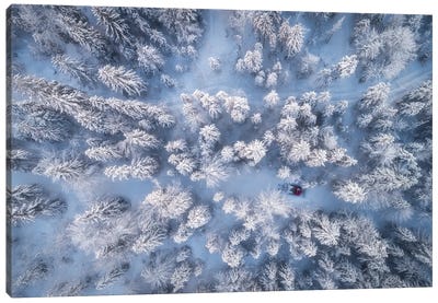 Frozen Winter Forest In Bavaria Canvas Art Print - Aerial Photography