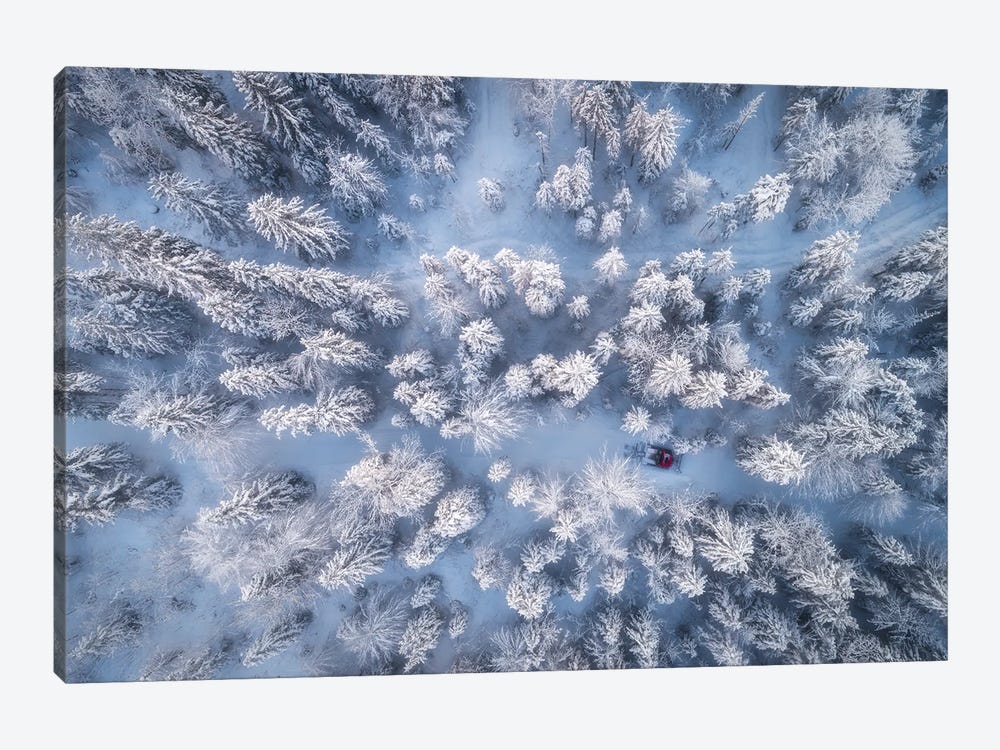 Frozen Winter Forest In Bavaria by Daniel Gastager 1-piece Art Print